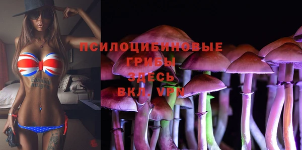 MDMA Premium VHQ Нефтегорск