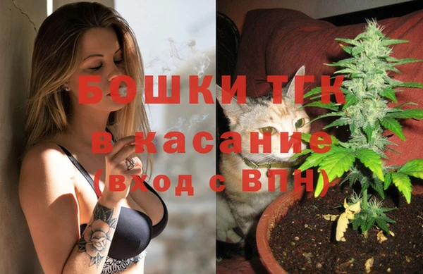 гидра Кулебаки