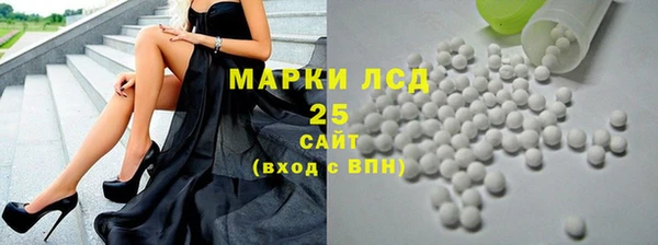 гидра Кулебаки