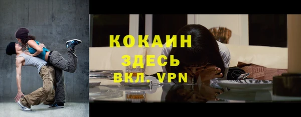 гидра Кулебаки