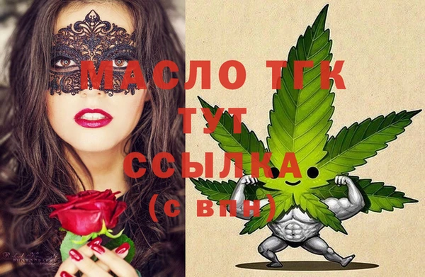 гидра Кулебаки