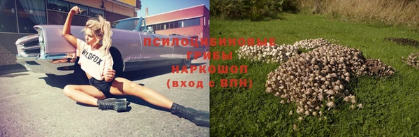 гидра Кулебаки