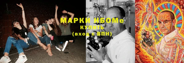 ECSTASY Кукмор