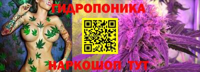марихуана Краснознаменск