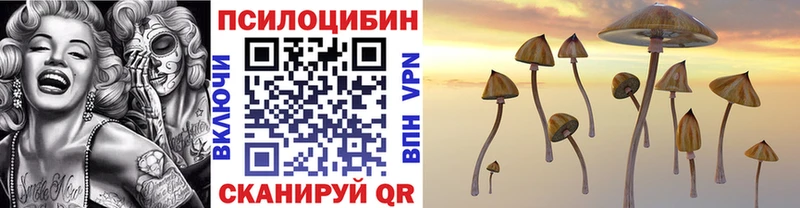 Псилоцибиновые грибы GOLDEN TEACHER даркнет сайт Строитель