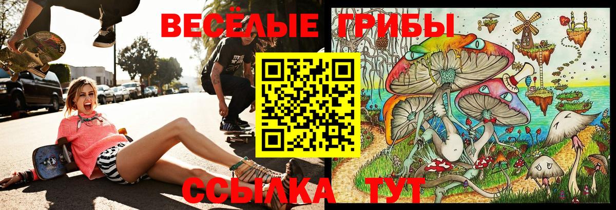 Псилоцибиновые грибы Magic Shrooms Строитель