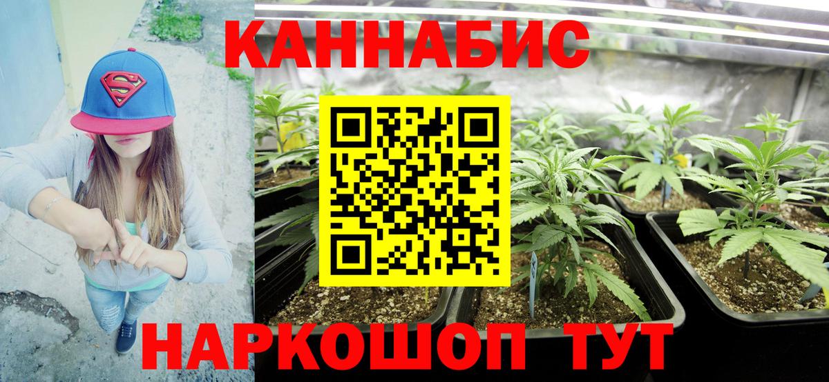 Строитель  Каннабис план  Вход с VPN  Конопля Ganja 